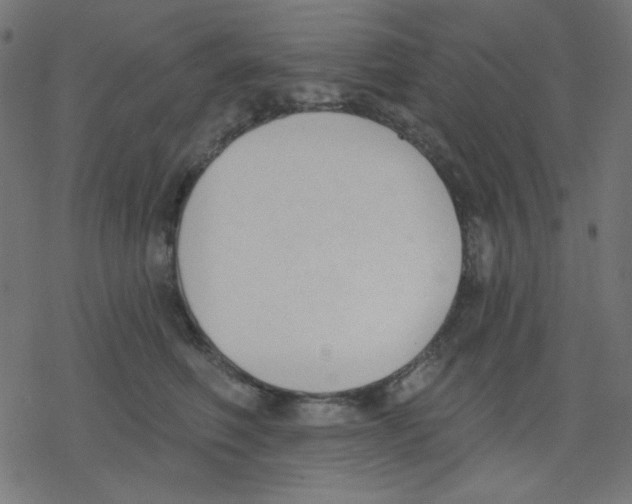 X0000078230614200612011541