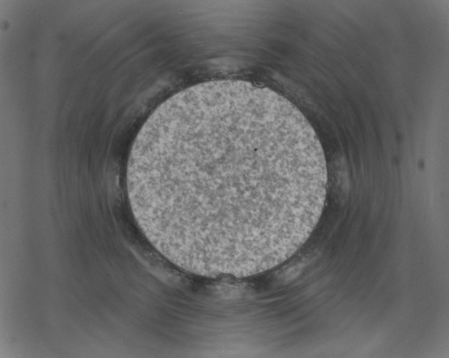 X0000078230615200612011541