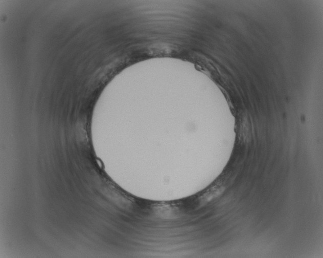 X0000078230616200612011541