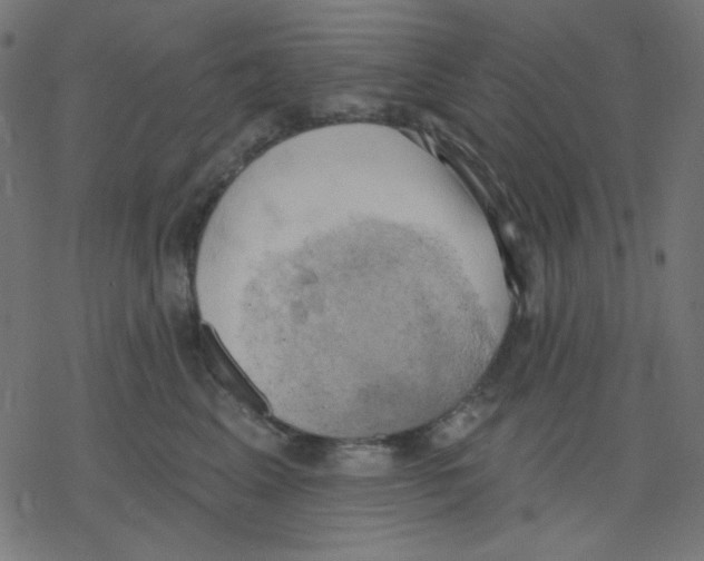 X0000078230617200612011541