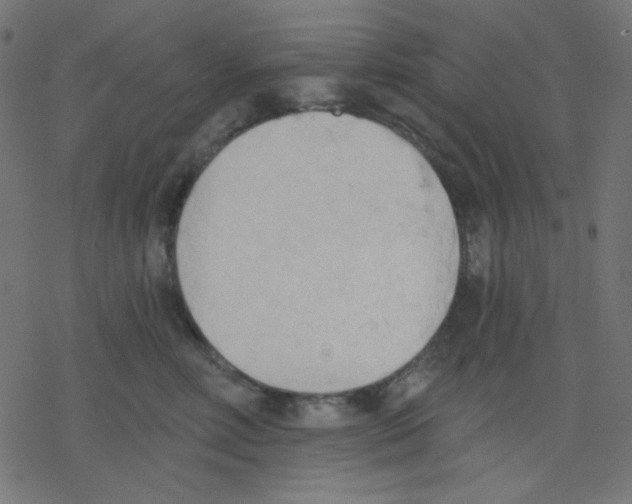 X0000078230618200612011541