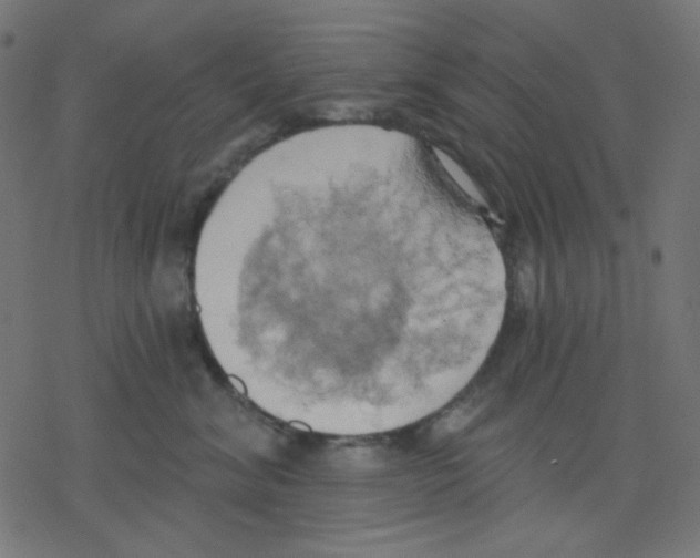 X0000078230620200612011541