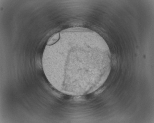 X0000078230622200612011541