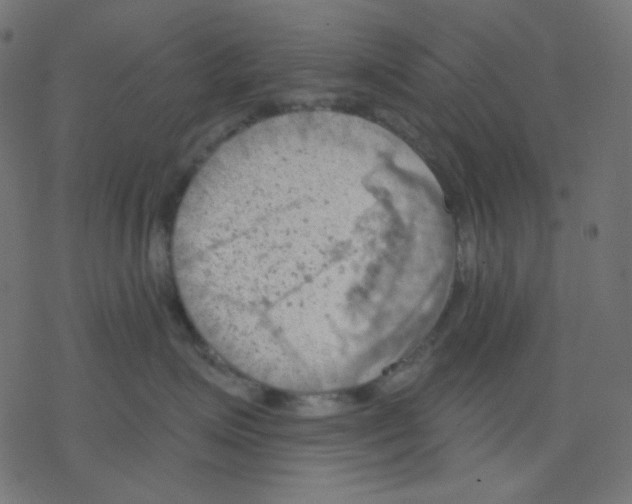 X0000078230623200612011541