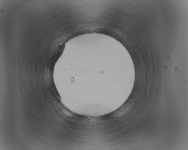 X0000078230624200612011541