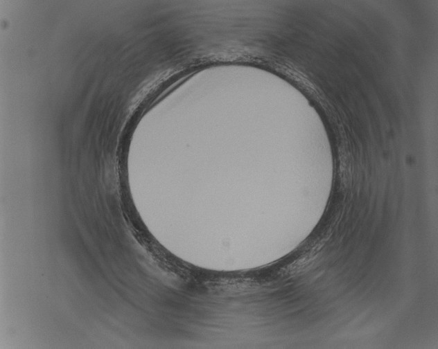 X0000078230626200612011540