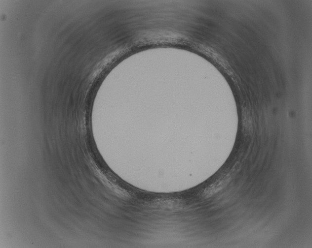 X0000078230629200612011540