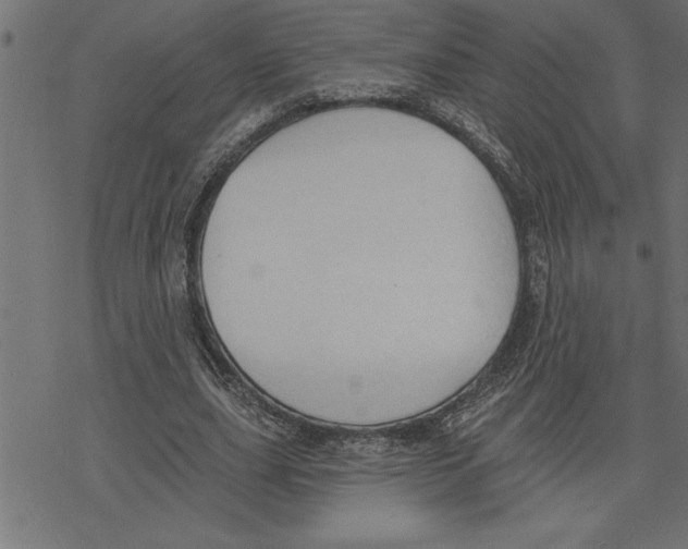 X0000078230631200612011540