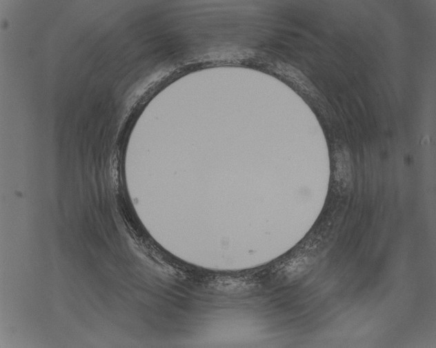 X0000078230632200612011540