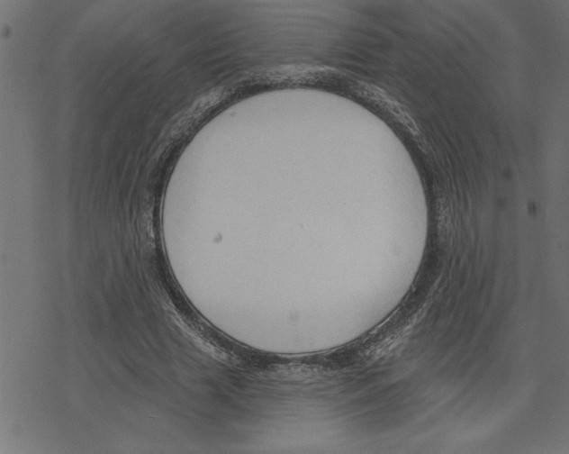 X0000078230633200612011540