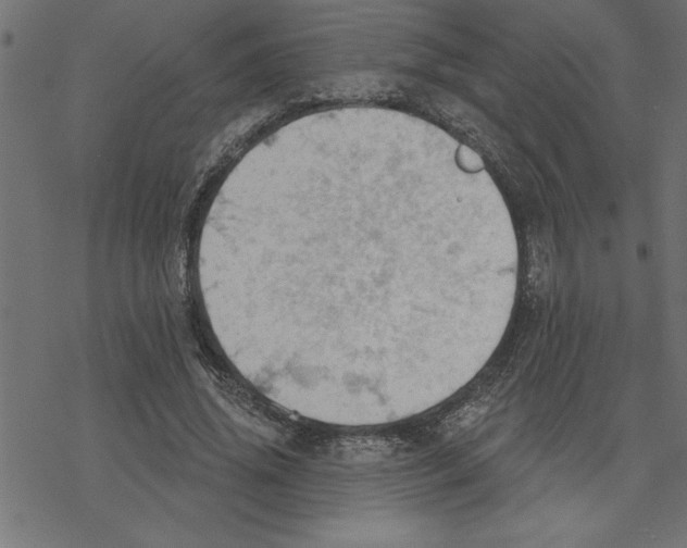 X0000078230636200612011541