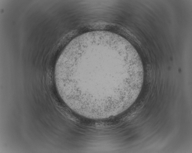 X0000078230641200612011541