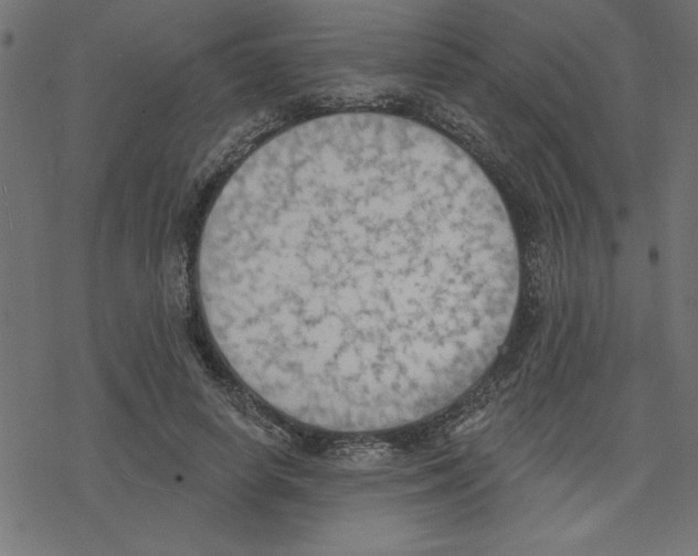 X0000078230642200612011541