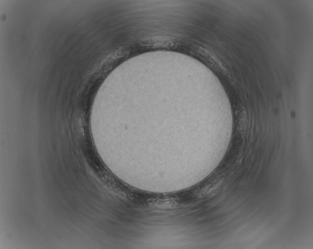 X0000078230643200612011541