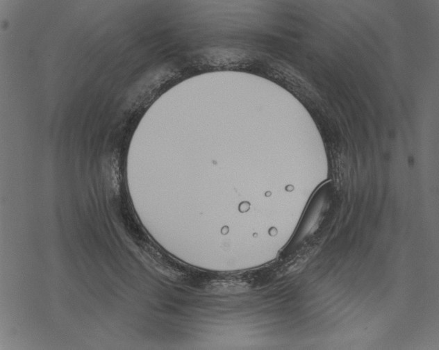 X0000078230644200612011541