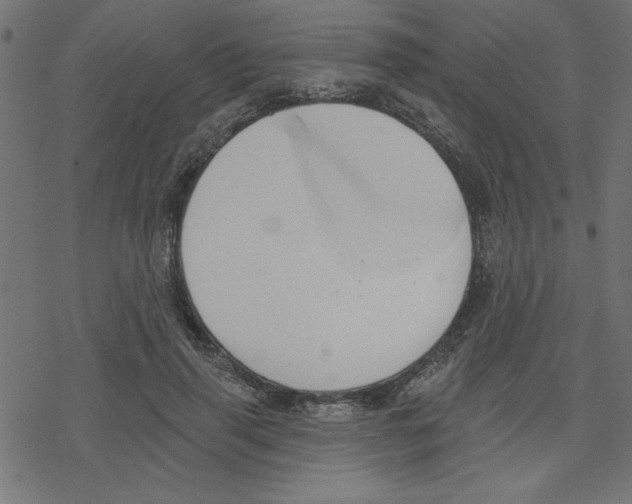 X0000078230645200612011541