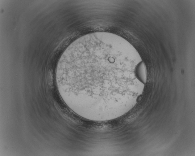 X0000078230646200612011541