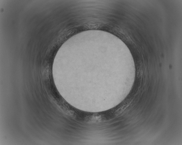 X0000078230647200612011541