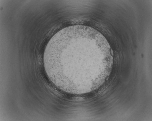 X0000078230649200612011541