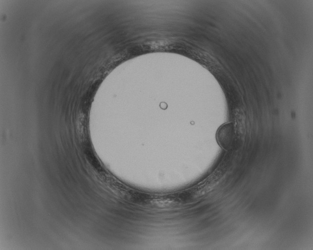 X0000078230650200612011541