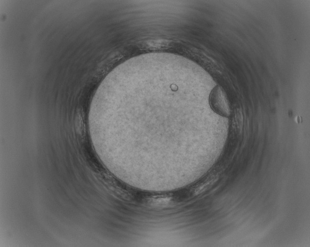 X0000078230651200612011541