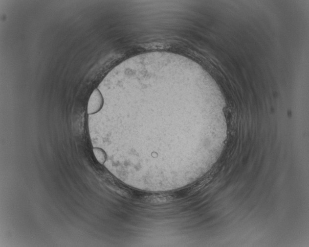 X0000078230652200612011541