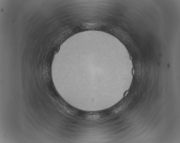 X0000078230653200612011541