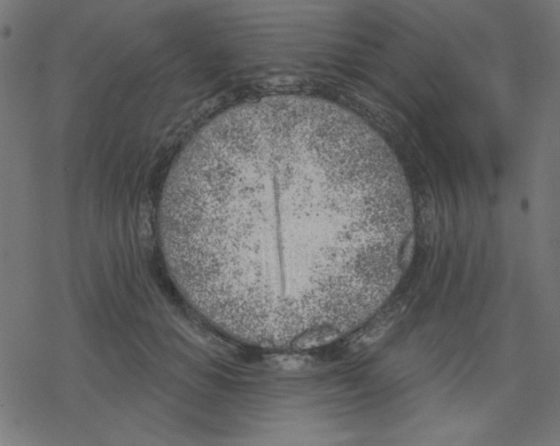 X0000078230654200612011541