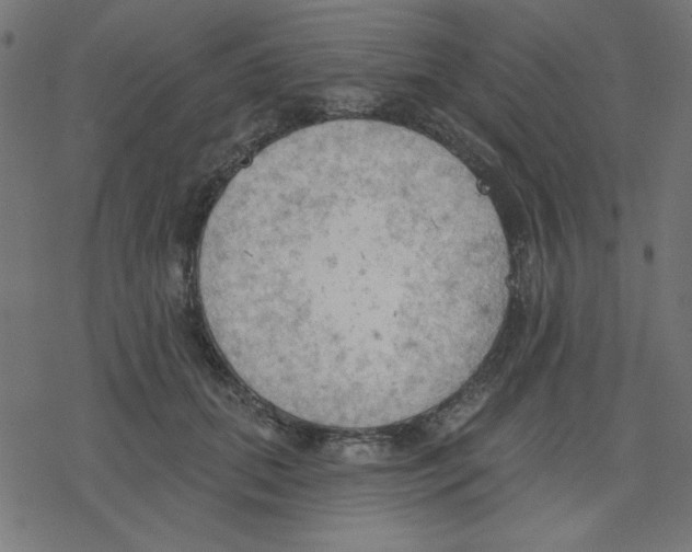 X0000078230655200612011541