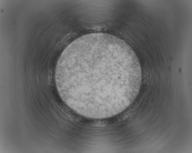 X0000078230656200612011541