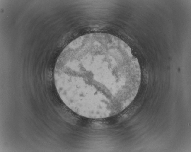 X0000078230657200612011541