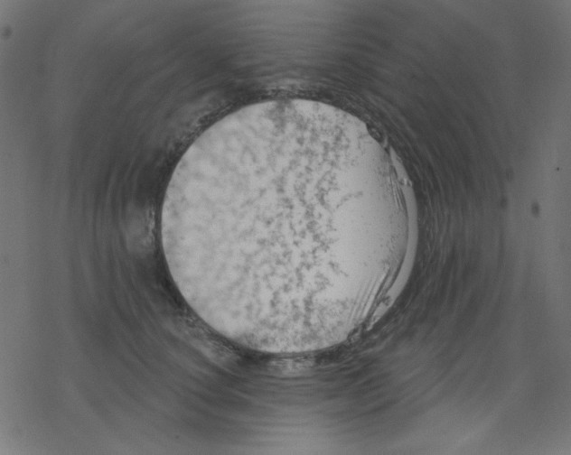 X0000078230660200612011541