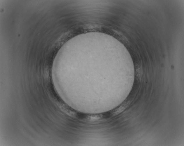 X0000078230662200612011541