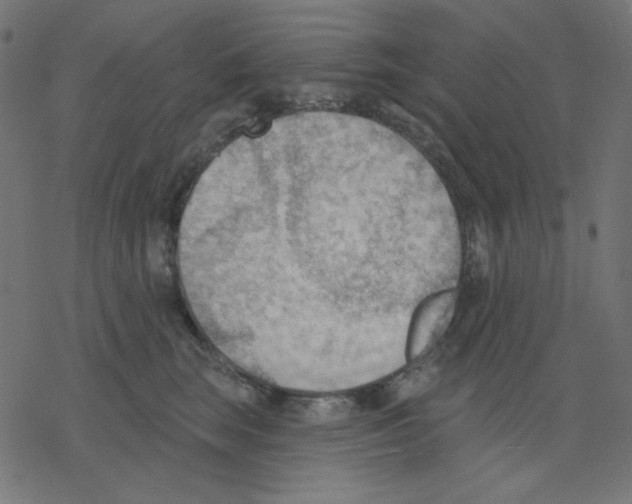 X0000078230663200612011541