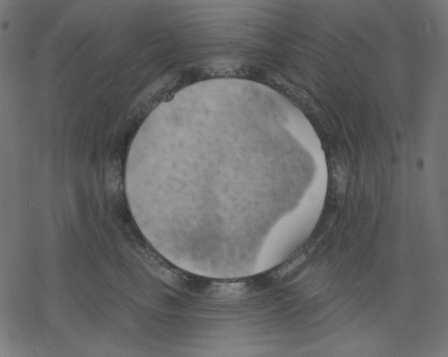 X0000078230665200612011541