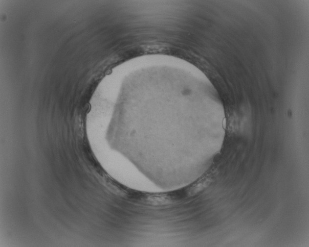 X0000078230666200612011541