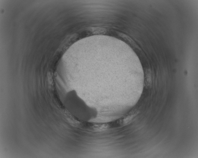 X0000078230667200612011541