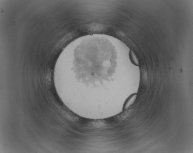 X0000078230668200612011541