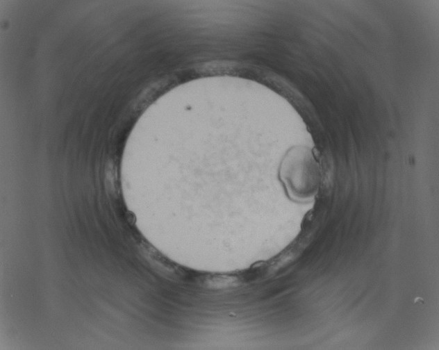 X0000078230669200612011541