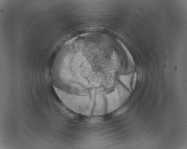 X0000078230670200612011541