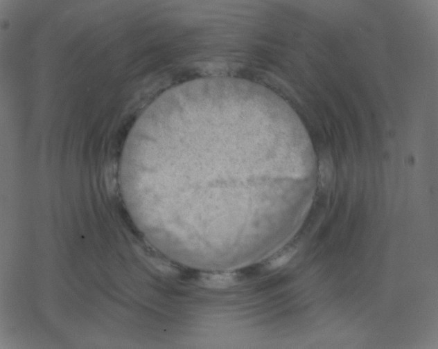 X0000078230671200612011541