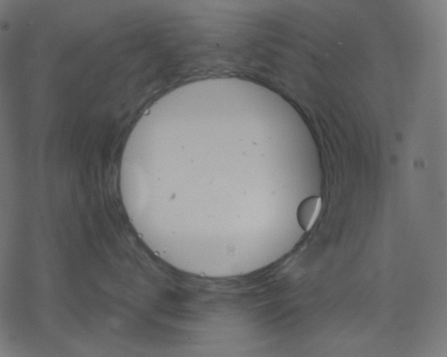 X0000078230672200612011541