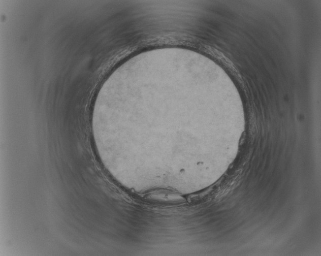 X0000078230673200612011540