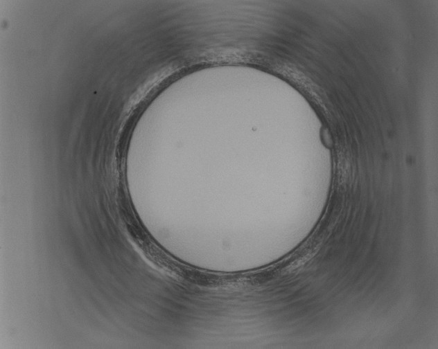 X0000078230674200612011540