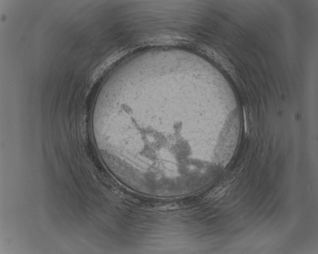 X0000078230675200612011540