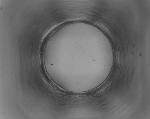 X0000078230676200612011540