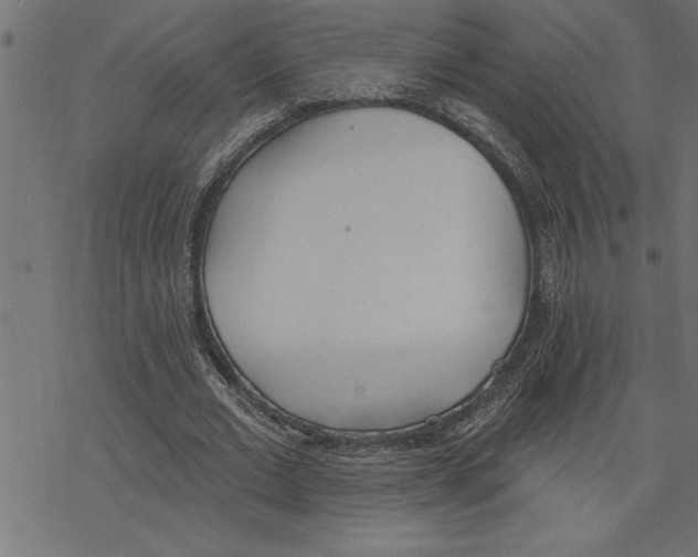 X0000078230677200612011540