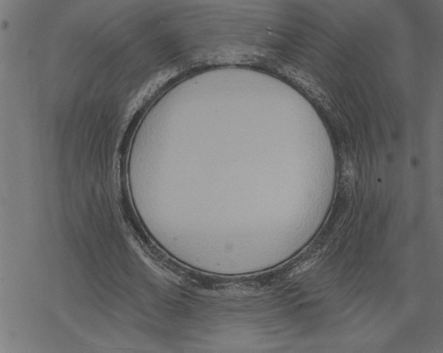 X0000078230678200612011540