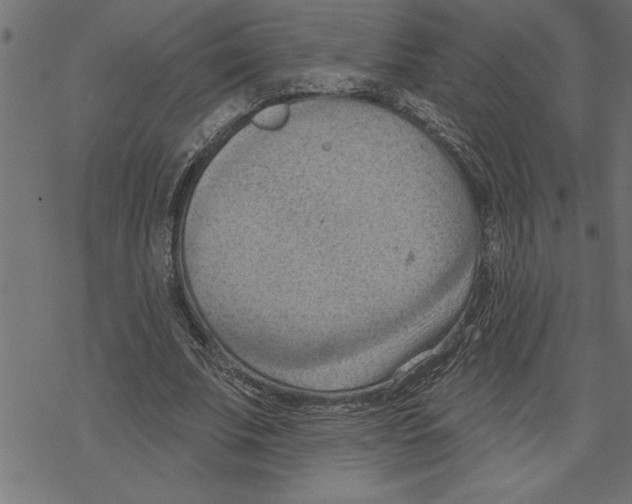 X0000078230679200612011540