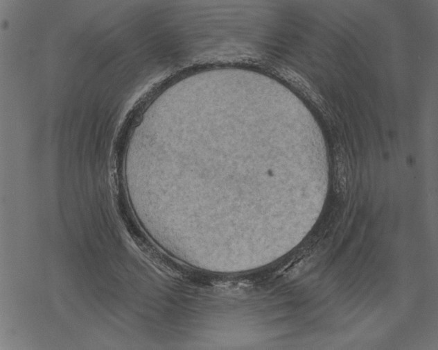 X0000078230680200612011540